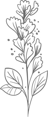 Ornamento floral botânico canto inferior direito